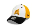 Gorra/Cap 9Forty Cibagu Oficial Logo Blk Gray