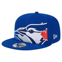 Gorra/Cap 9Fifty Team Shadow 19966 Torjay Otc