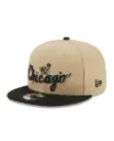 New Era Gorra/Cap 9Fifty Team Art 22912 Chiwhi Ptr
