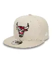 Gorra/Cap 9Fifty Seasonal Infill Chibul Stnfdr
