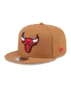 Gorra/Cap 9Fifty Color Pack Otc Chibul Lbz